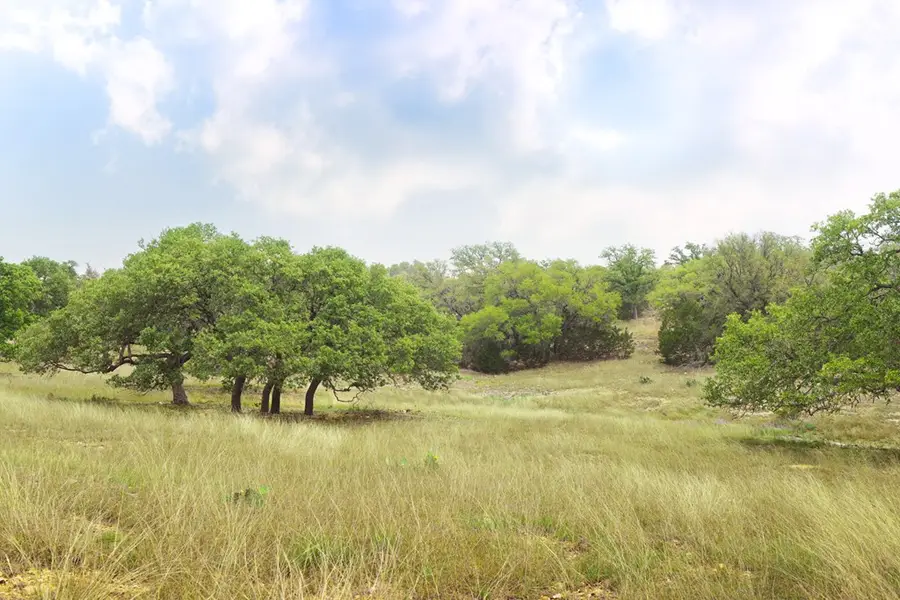 Lot 47 Dillon Ridge Dr, Kerrville, TX 78028 - #3