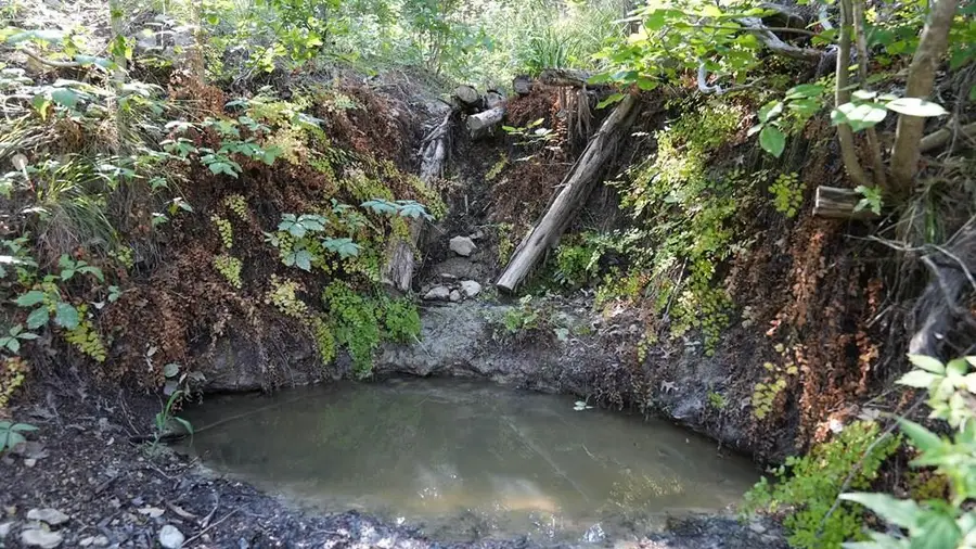 253 Coopers Canyon Dr, Medina, TX 78055 - Image #2