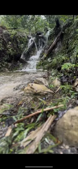 253 Coopers Canyon Dr, Medina, TX 78055 - Image #3