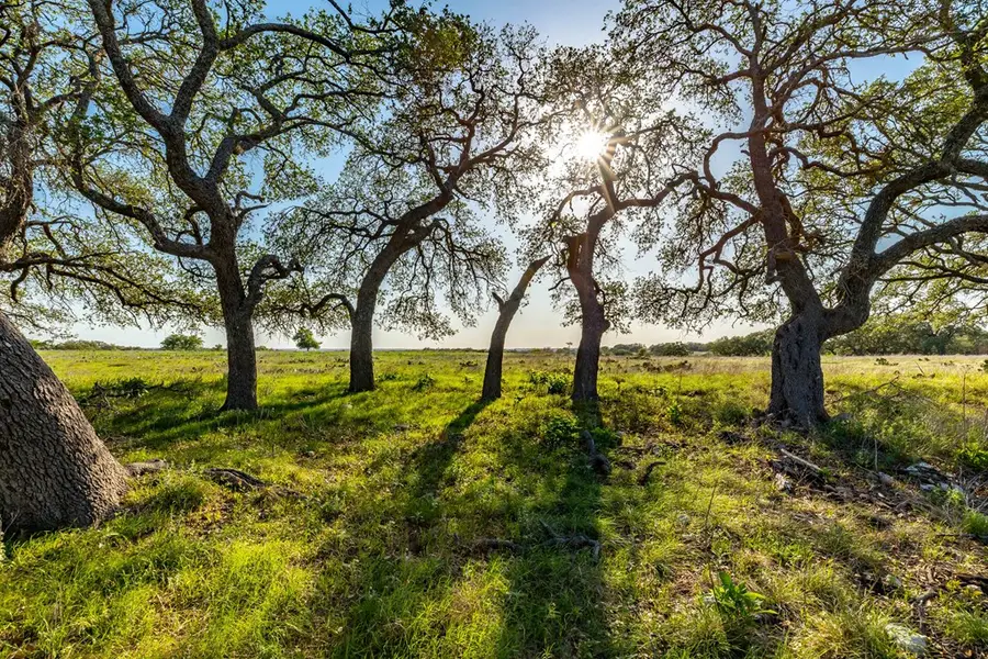 LOT 168 Other, Kerrville, TX 78028 - Image #3