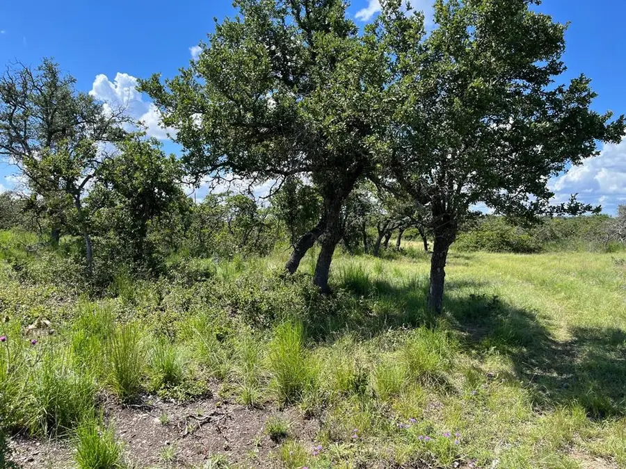Lot 13 Sweetwind, Harper, TX 78631 - Image #2