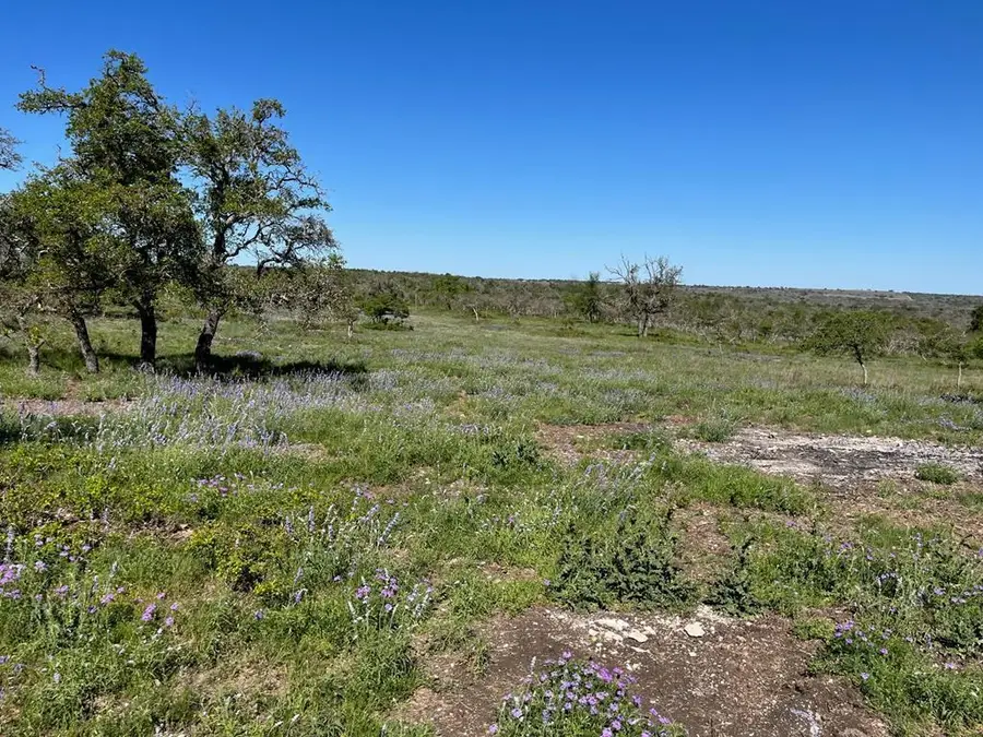 Lot 13 Sweetwind, Harper, TX 78631 - Image #3