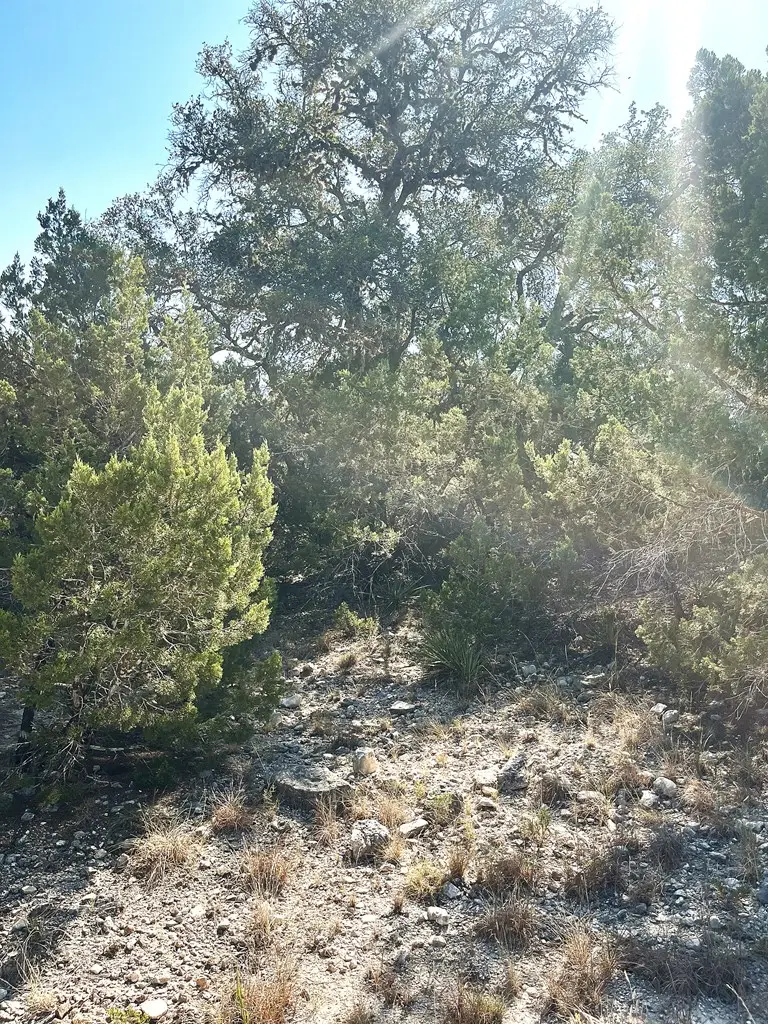 137 Middle Rd, Leakey, TX 78873 - #3