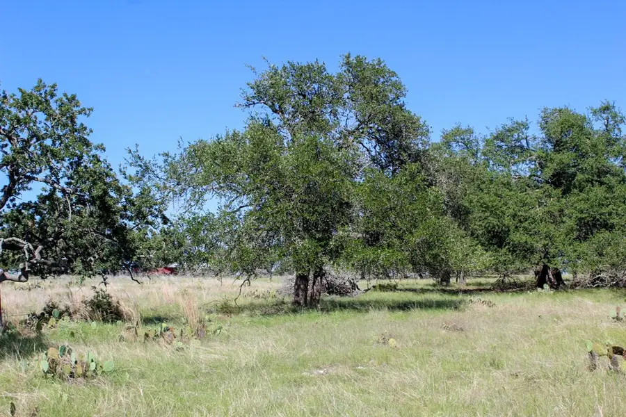 210 Apache Trace, Harper, TX 78631 - Image #2