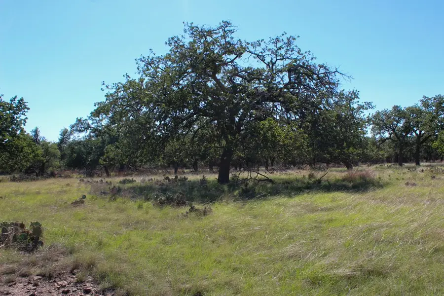 210 Apache Trace, Harper, TX 78631 - Image #3