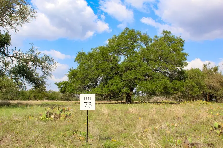 196 Apache Trace, Harper, TX 78631 - Image #2
