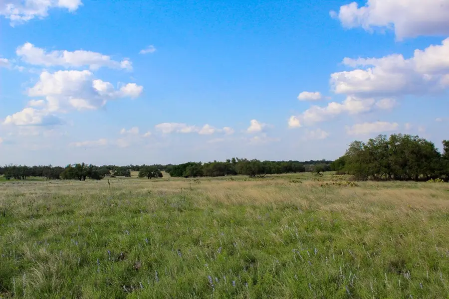 268 Apache Trace, Harper, TX 78631 - Image #2