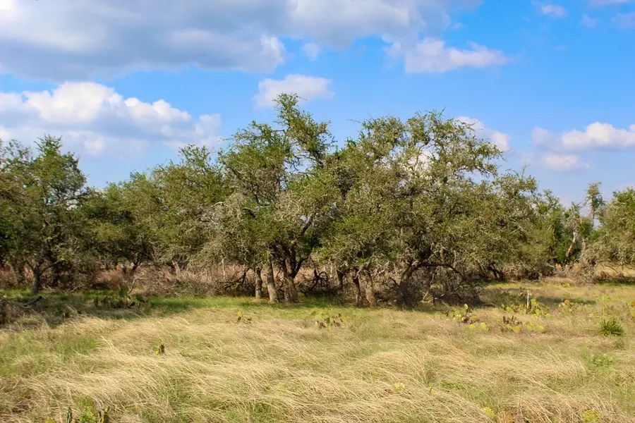 282 Apache Trace, Harper, TX 78631 - Image #2