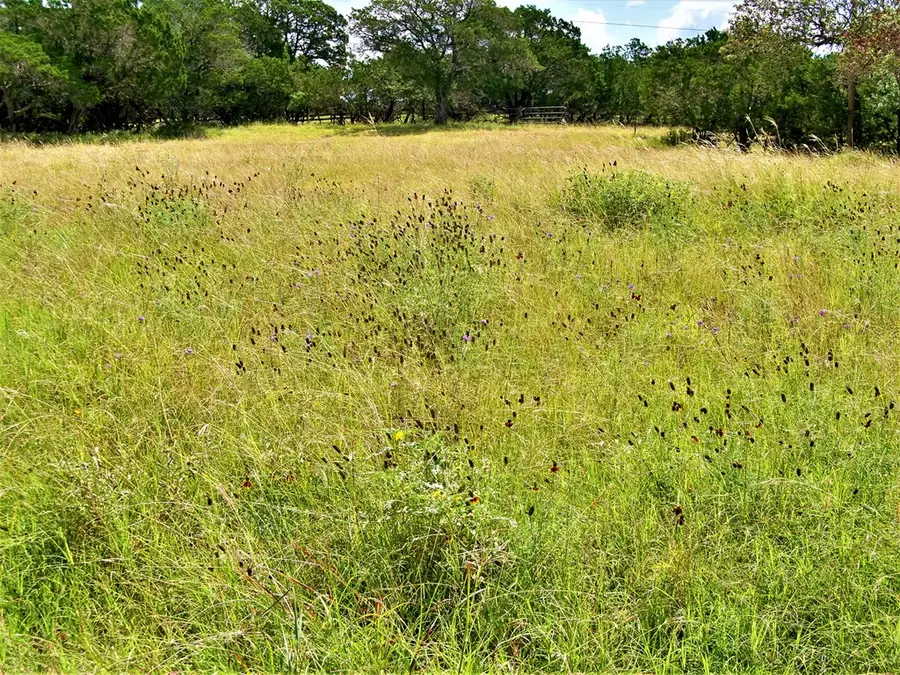 810 Spanish Oak Dr, Kerrville, TX 78028 - Image #3