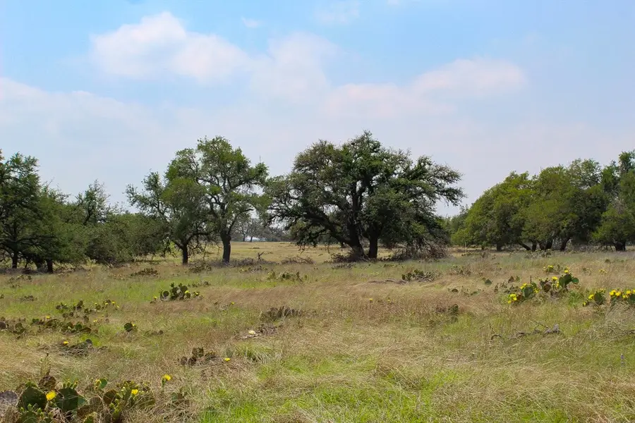 152 Elan Lane, Harper, TX 78631 - Image #2