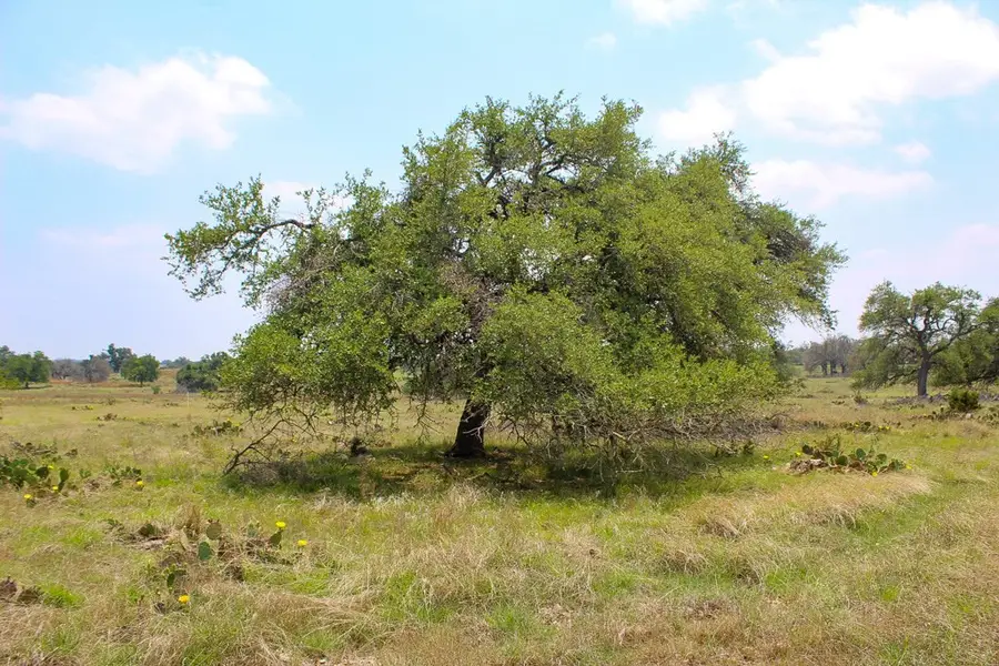 152 Elan Lane, Harper, TX 78631 - Image #3