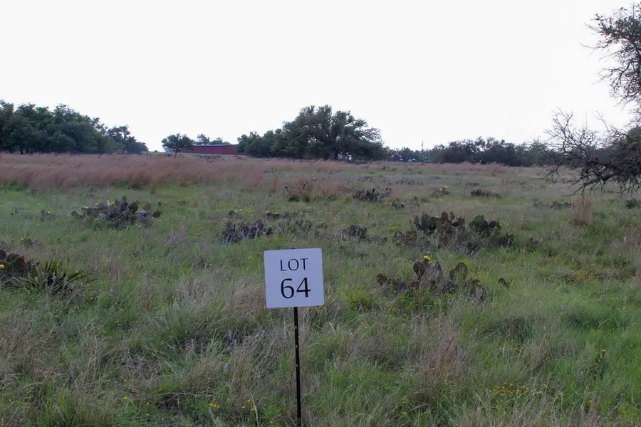 156 Nantan Lane, Harper, TX 78631 - Image #2