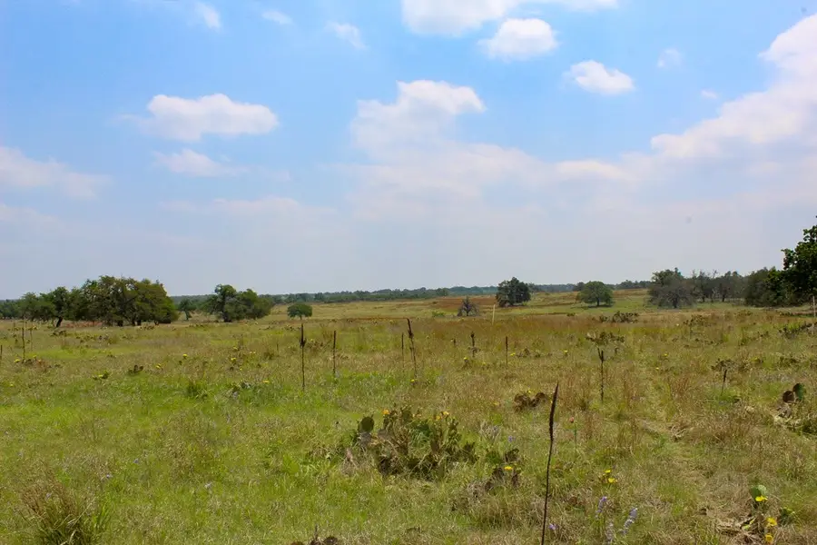 205 Nantan Lane, Harper, TX 78631 - Image #2