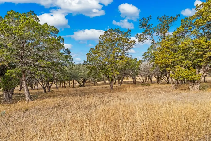 000 Spring Lakes Pkwy, Ingram, TX 78025 - Image #3