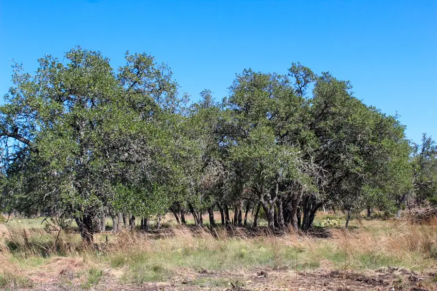 165 Apache Trace, Harper, TX 78631 - Image #2