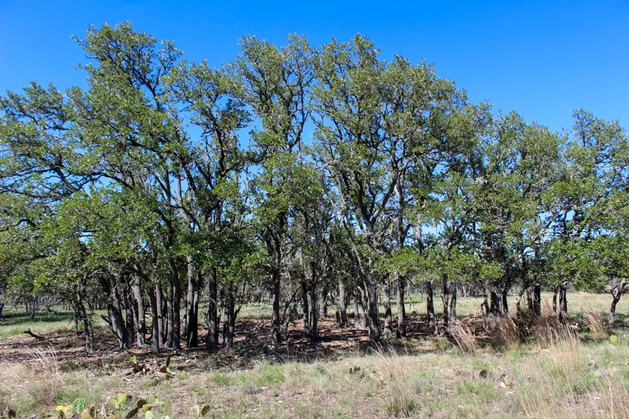 165 Apache Trace, Harper, TX 78631 - Image #3