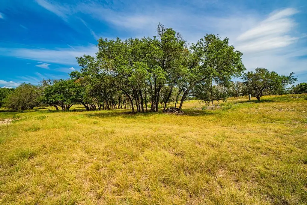 326 Blue Oak Tr, Harper, TX 78631 - Image #1
