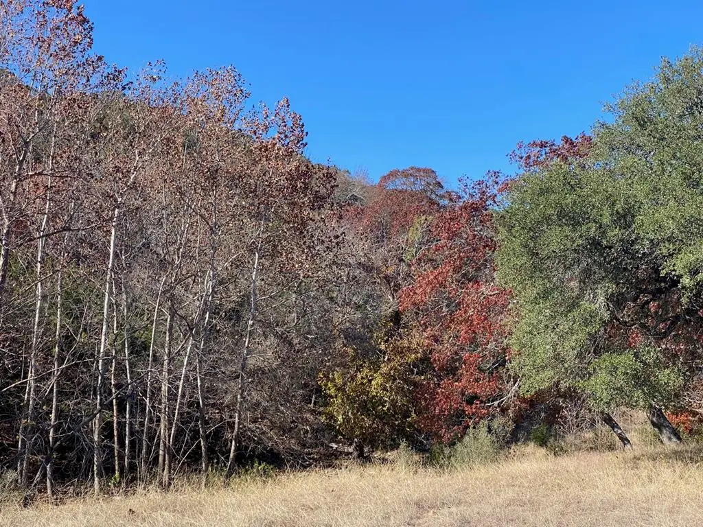 Lot 134 Shapen Springs Rd, Harper, TX 78631 - Image #1