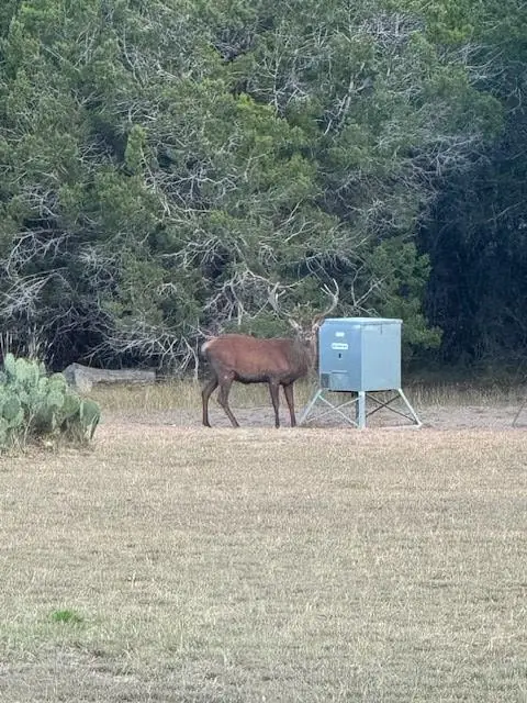 1100 Madrona Ridge, Bandera, TX 78003 - Image #1
