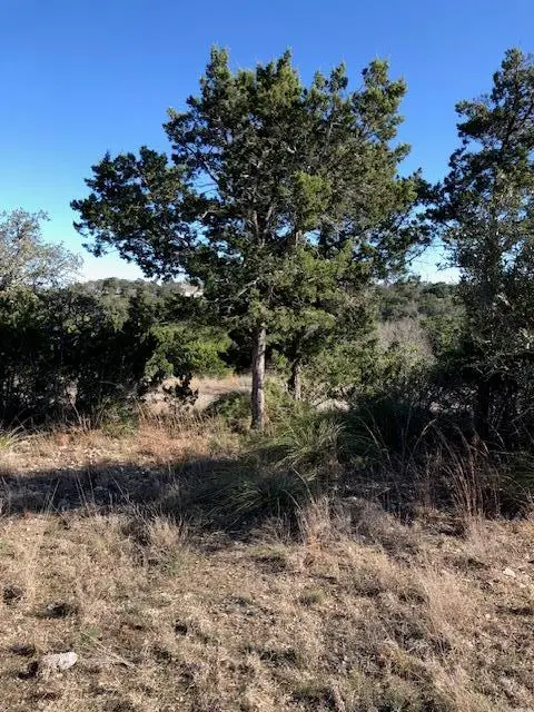 1915 S Saddlewood Blvd, Kerrville, TX 78028 - Image #2