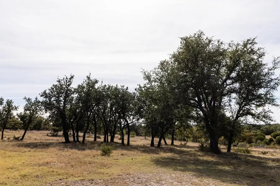 0 W Cr 650, Junction Northwest, TX 76849 - Image #2