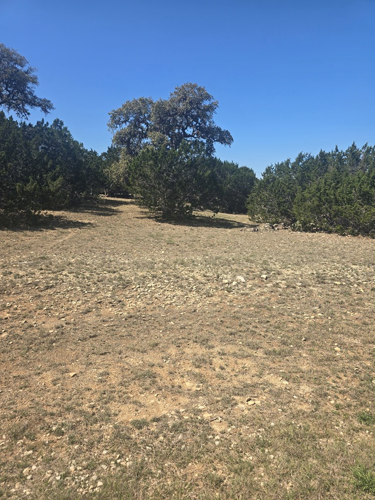 lot 8 Pr 1514, Bandera, TX 78003 - #2