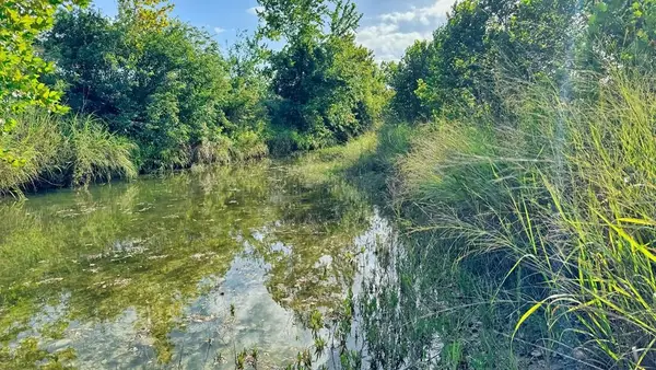 217 Caw Lane, Medina, TX 78055