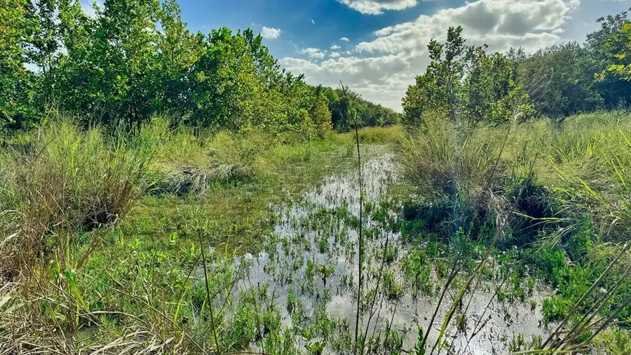 217 Caw Lane, Medina, TX 78055 - Image #2