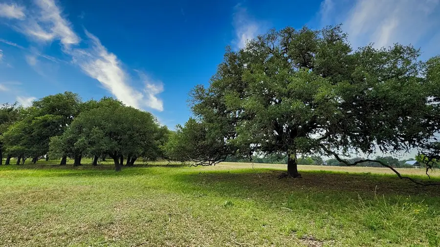 217 Caw Lane, Medina, TX 78055 - Image #3