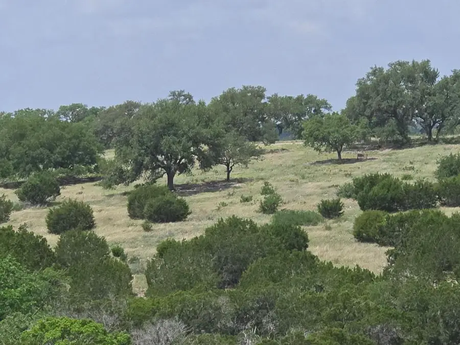 156 Shapen Springs Rd, Kerrville, TX 78028 - Image #3