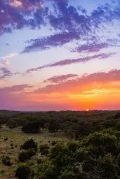 0 W Hwy 39, Hunt, TX 78024 - Image #1