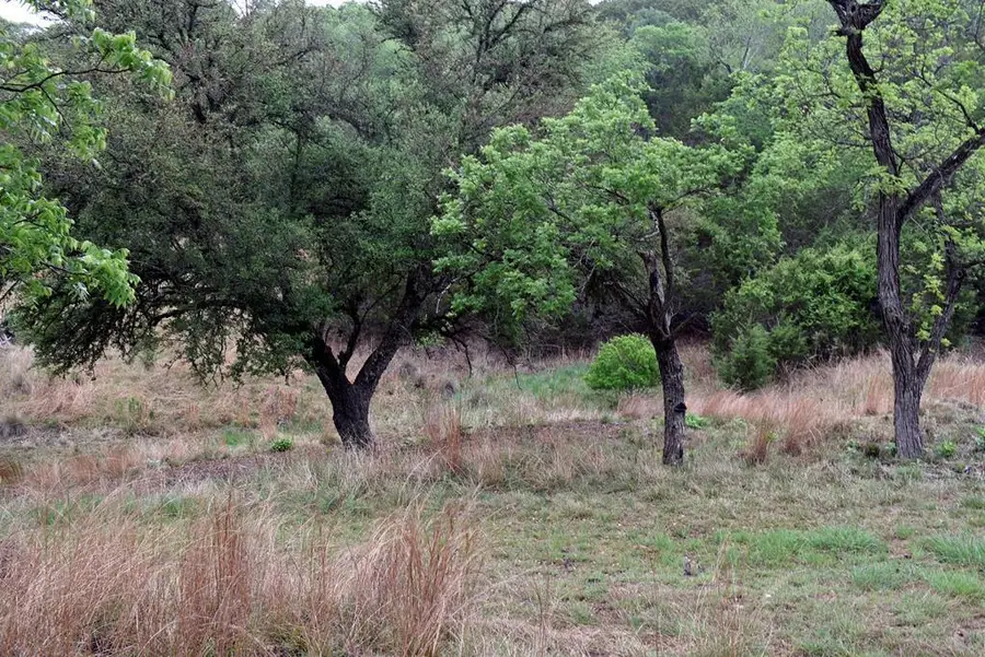 1700 Primrose, Kerrville, TX 78028 - Image #2