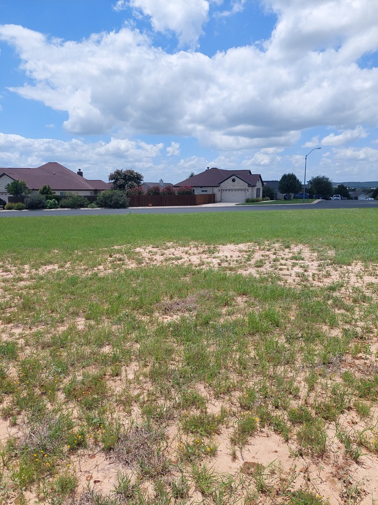 602 Atkins Ct, Fredericksburg, TX 78624 - Image #3