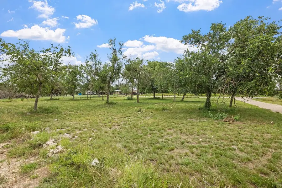 143 Michael Dr, Harper, TX 78631 - Image #2