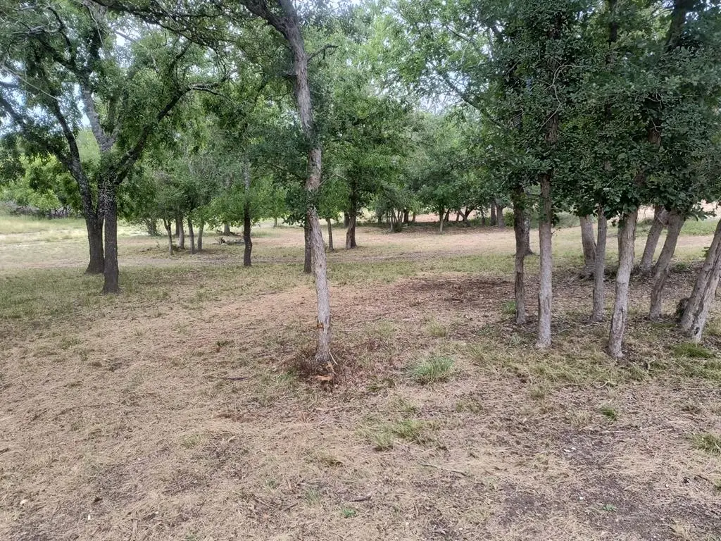 2210 Stoneledge Dr, Kerrville, TX 78028 - Image #1