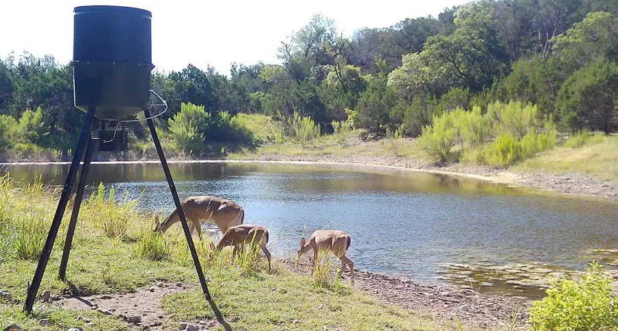 230 Marshall Dr, Kerrville, TX 78028 - Image #3