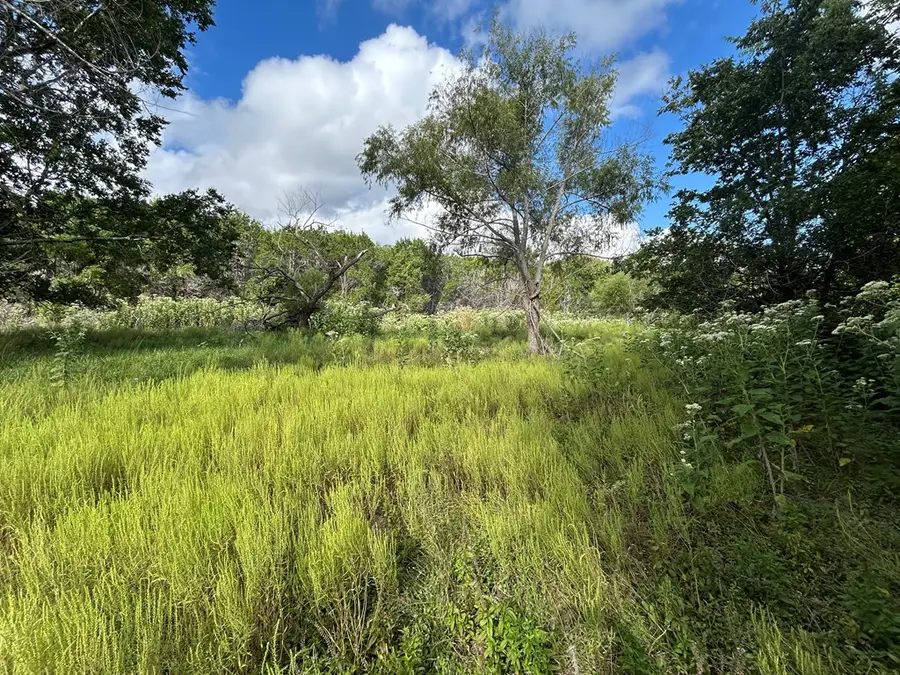 135 Marshall Dr, Kerrville, TX 78028 - Image #2