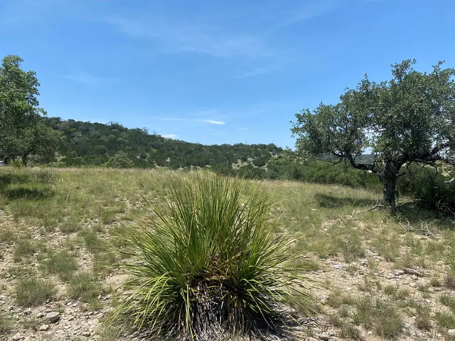 208 Saddle Wood Trail, Comfort, TX 78013 - Image #3