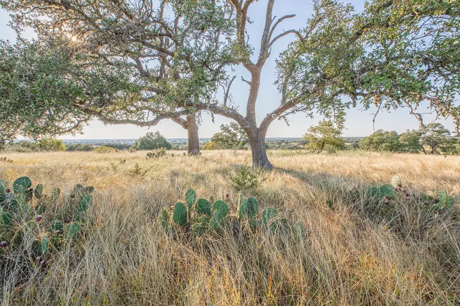 Lot 69 Table Rock, Kerrville, TX 78028 - Image #3