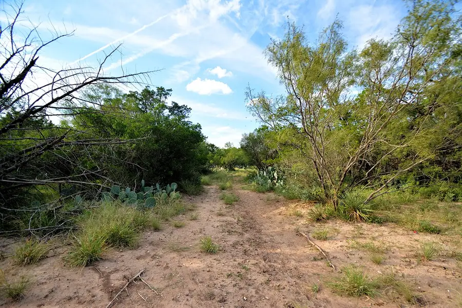 22874 Ranch Rd 385, Harper, TX 78631 - Image #3