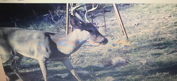 0 Fairview Rd, Rocksprings, TX 78880