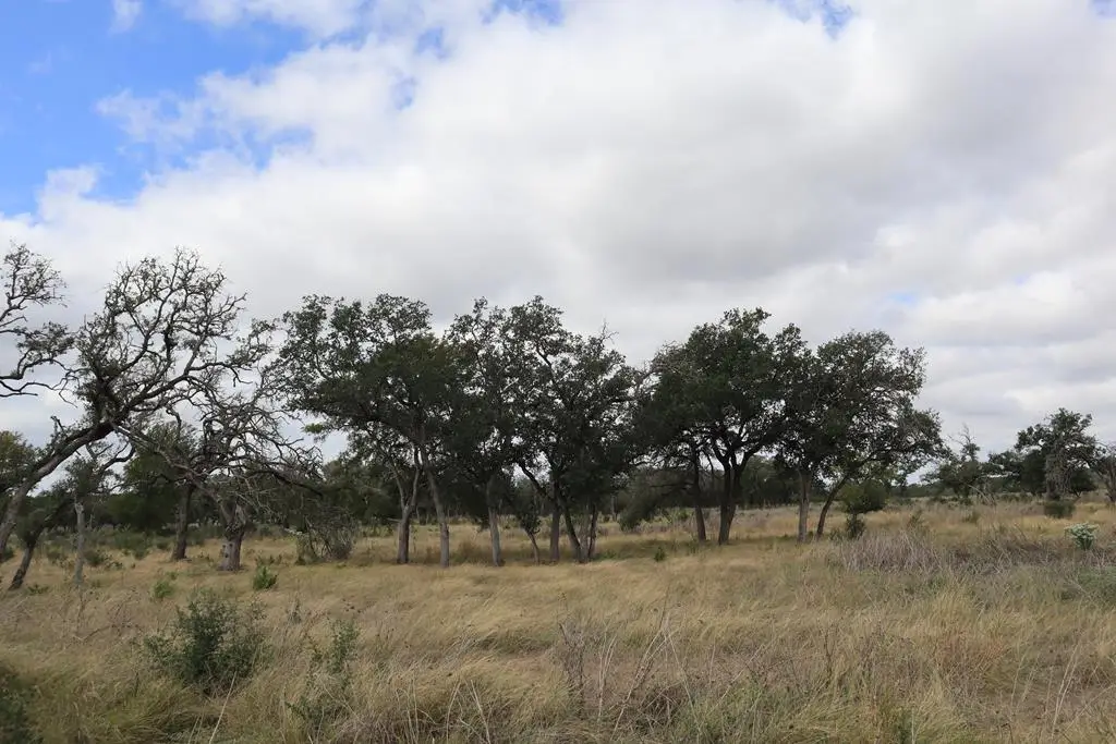 0 Clearwater Canyon Rd, Bandera, TX 78003 - Image #1