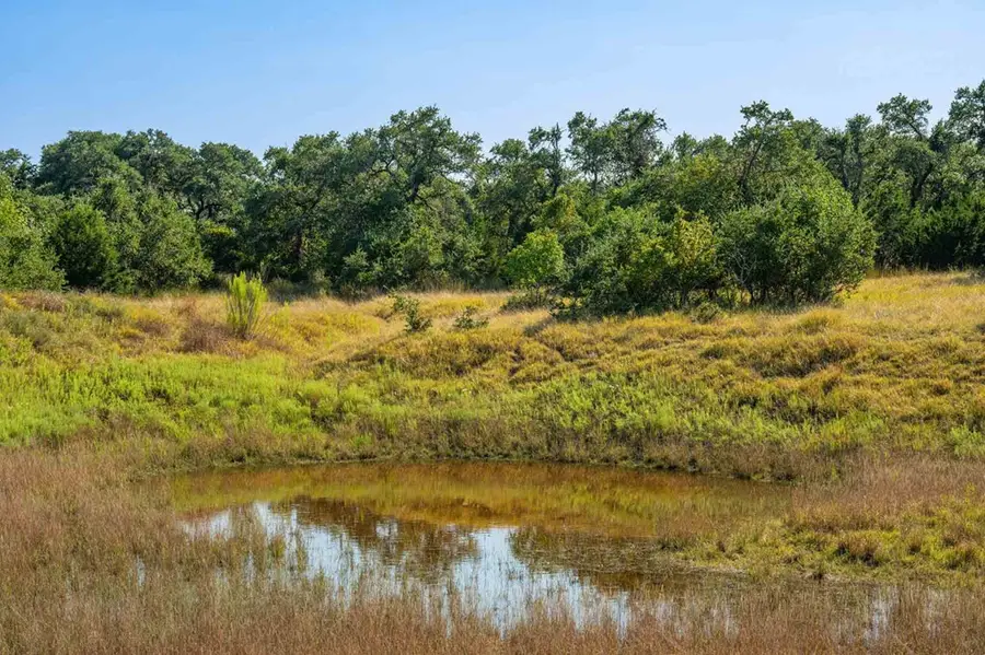 147 Gray Wolf, Blanco, TX 78606 - #3