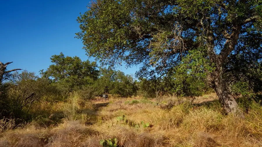 6748 S Hwy 87, Mason, TX 76856 - Image #3