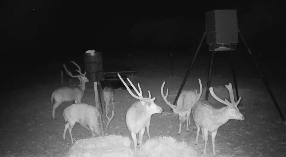 33 Sd 24750, Rocksprings, TX 78880 - Image #1