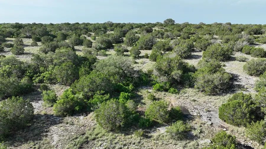 93 J S Murry Ranch Rd, Del Rio Northeast, TX 78840 - #3