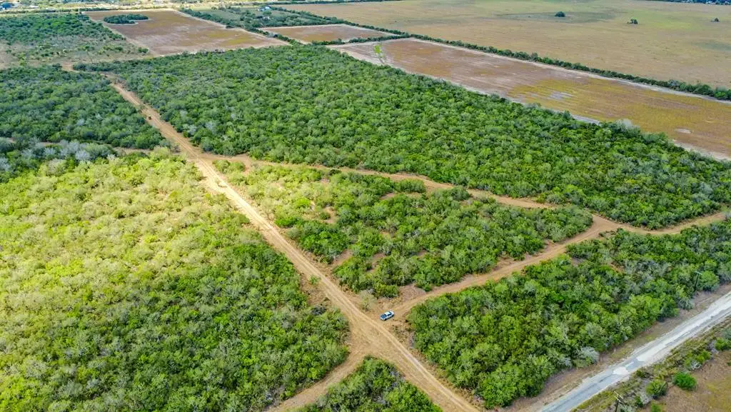 1121 Other, Alice, TX 78342 - Image #1