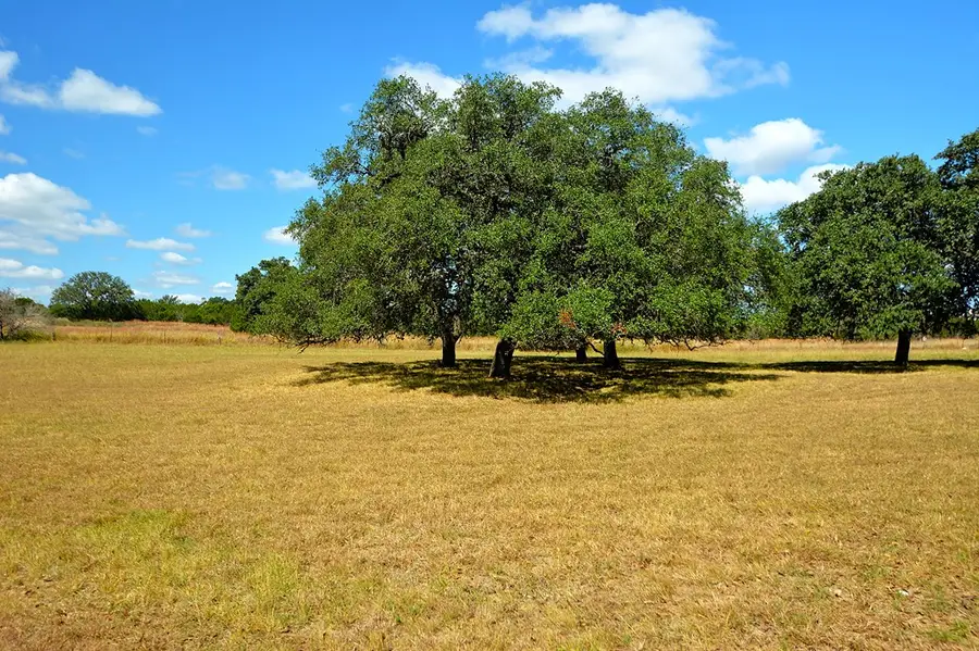 936 Saddle Club Dr, Kerrville, TX 78028 - #3