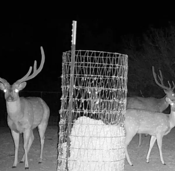 22 Rr 674, Rocksprings, TX 78880