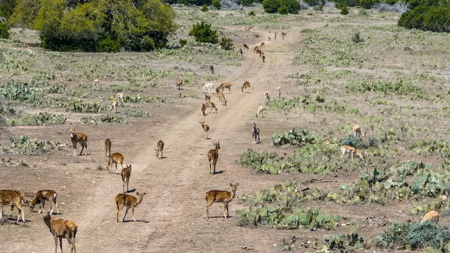 00 Hwy 377, Rocksprings, TX 78880 - Image #3